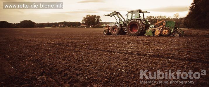 Landwirtschaft